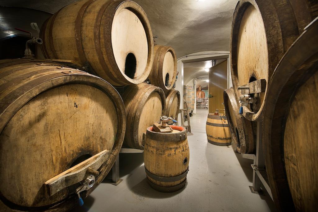 فندق U Medvidku-Brewery براغ المظهر الخارجي الصورة
